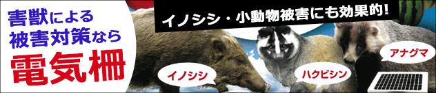 獣害対策なら電気柵が効果抜群！