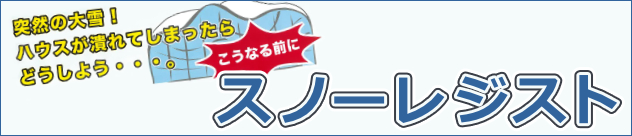 Xm[WXg