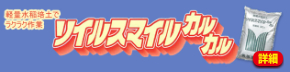 u\CX}CJJv̏ڍׂ͂NbN
