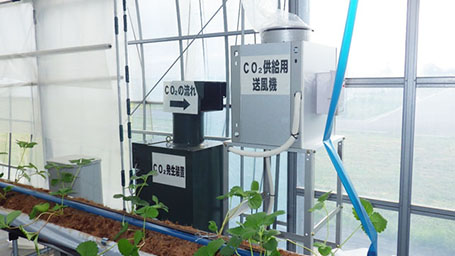 秋田市園芸振興センタークラウド対応いちご栽培装置改修工事
